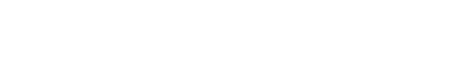 Datelex Logo White
